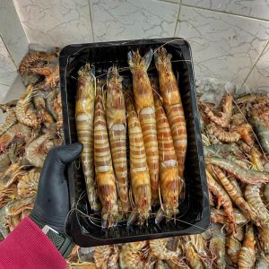 سمك طازج - 17