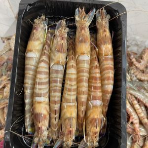 سمك طازج - 19