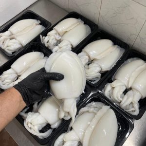 سمك طازج - 29
